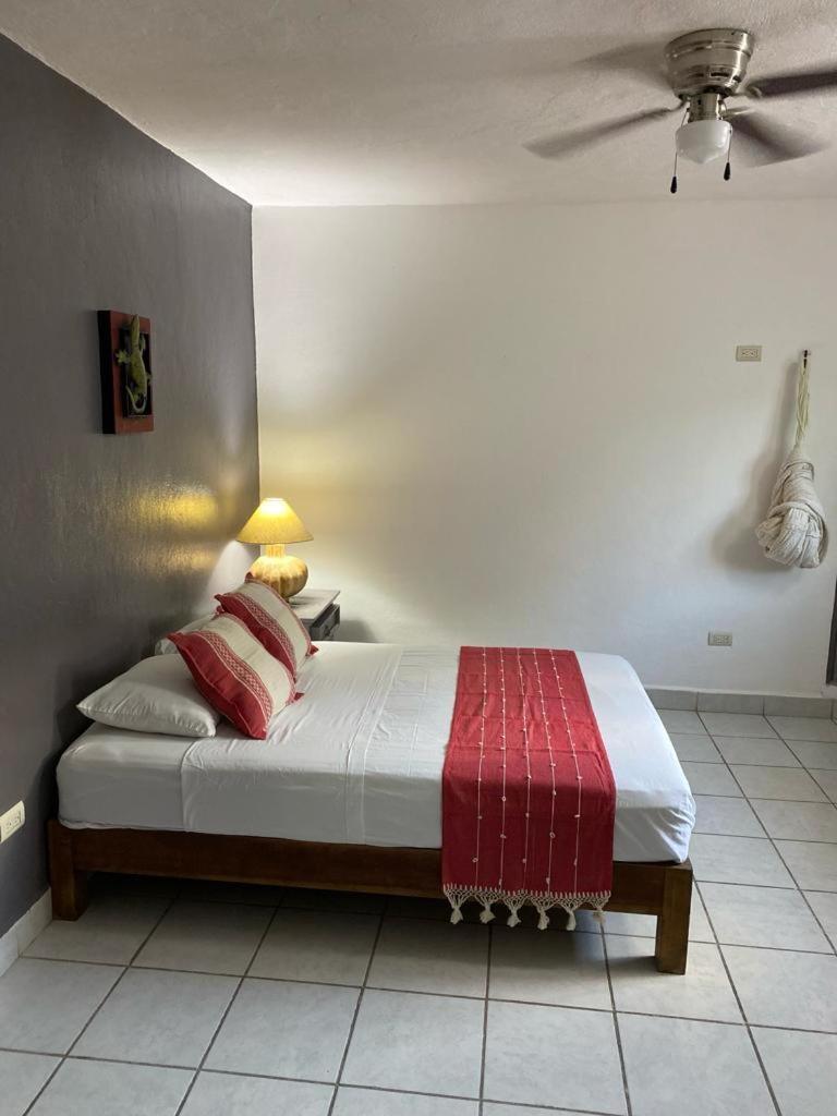 Hotel Caribo Cozumel Habitación foto